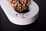 The Flora & Flight Wreaths