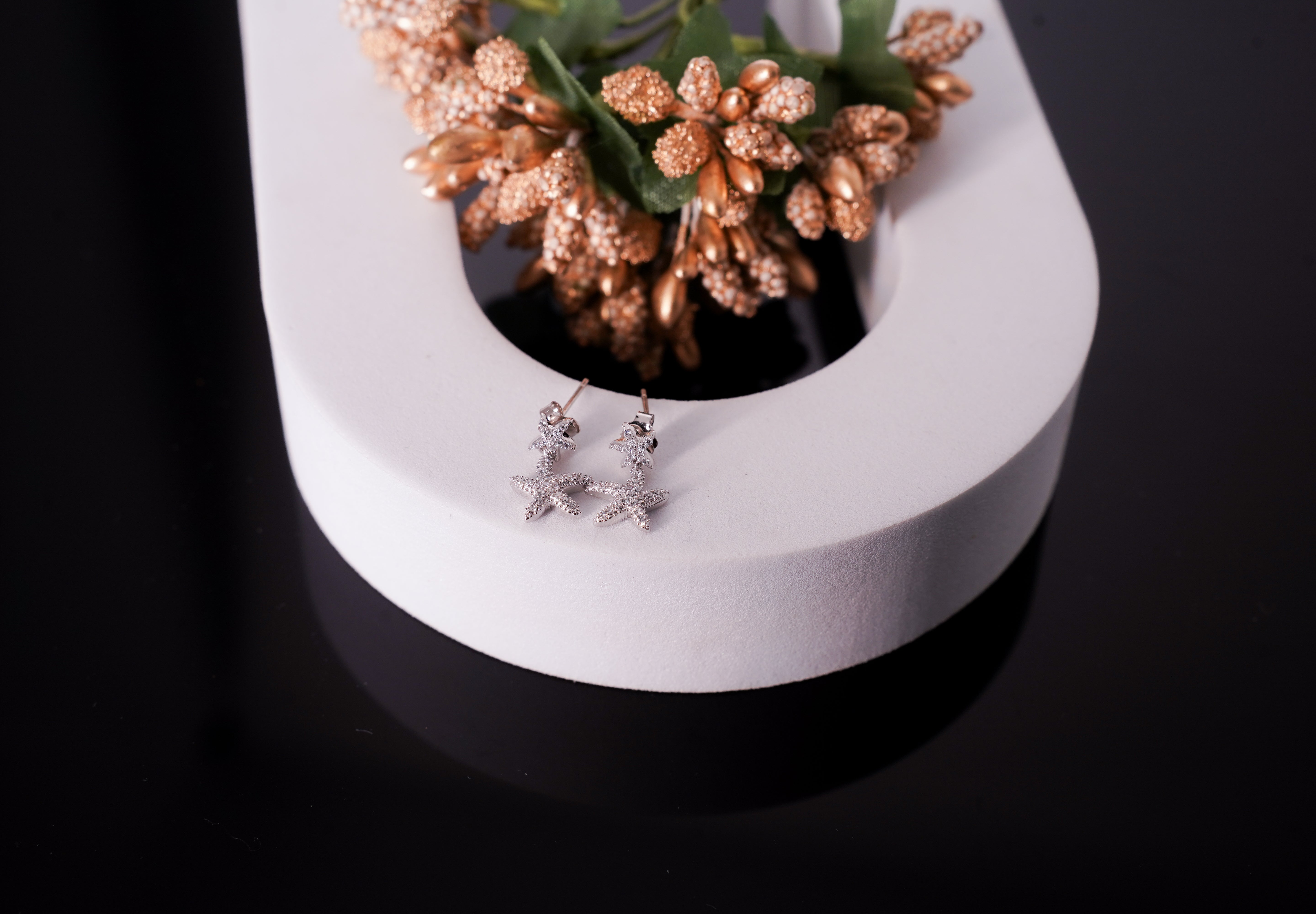 The Stellar Lumina Studs