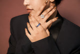 The Midnight & Muse Collection